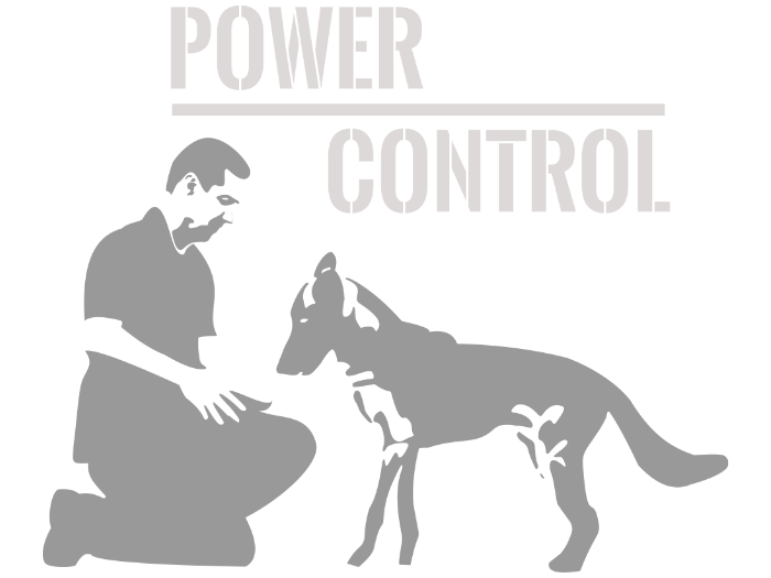 Power Control K9 škola i čuvanje pasa