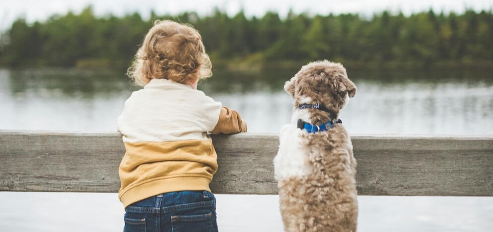 powercontrolk9 socijalizacija pasa s ljudima